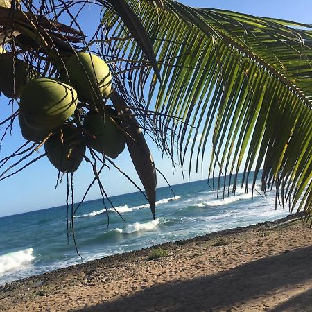 Modern, Welcoming Studio, Ocean View In Juan Dolio Extérieur photo