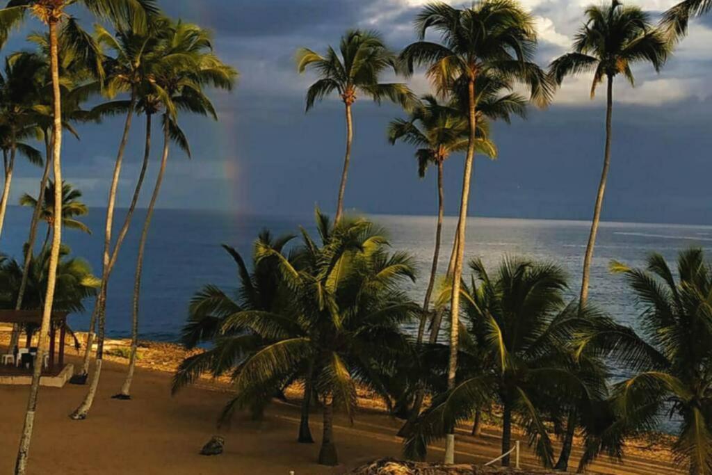 Modern, Welcoming Studio, Ocean View In Juan Dolio Extérieur photo
