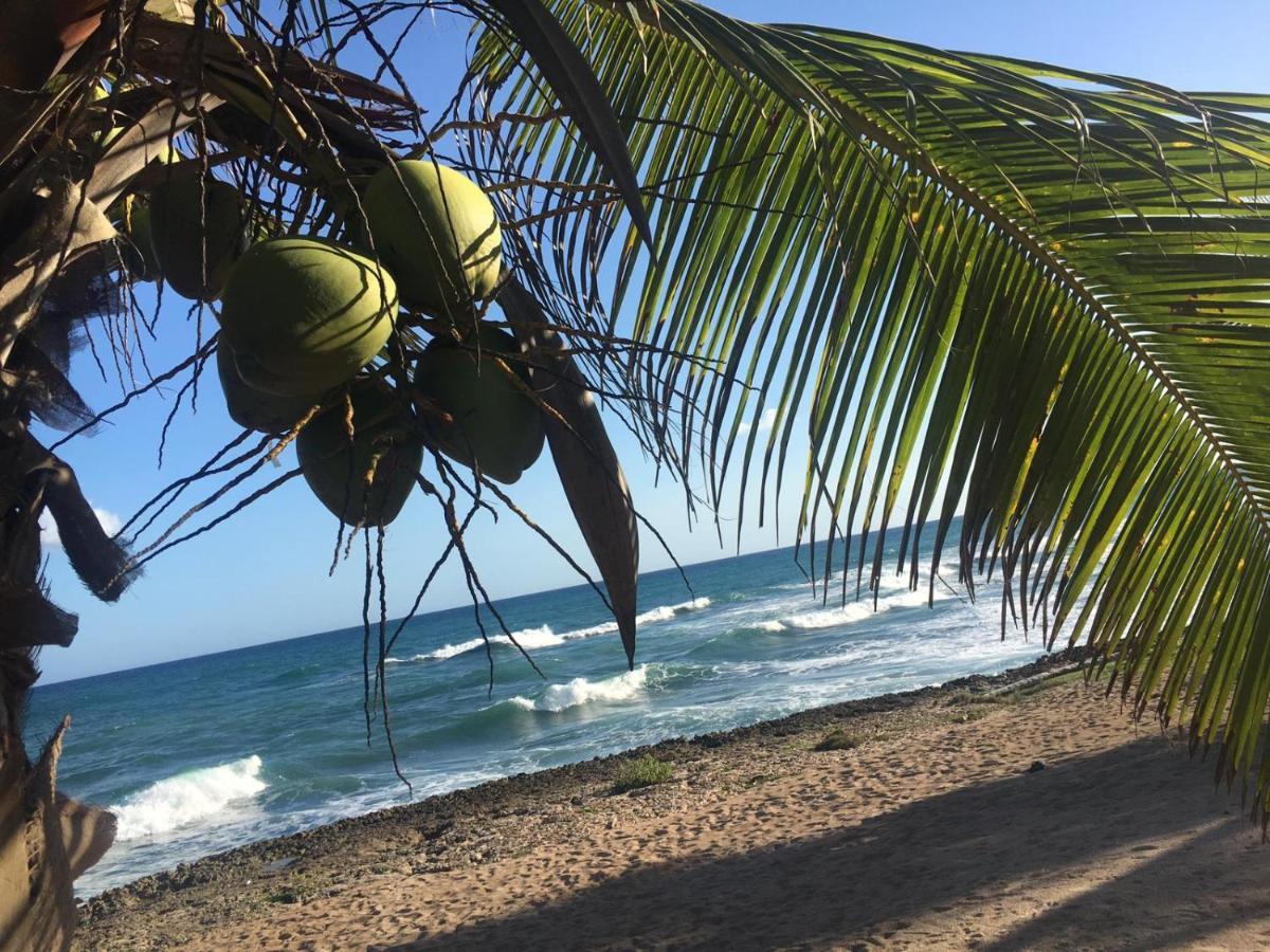 Modern, Welcoming Studio, Ocean View In Juan Dolio Extérieur photo